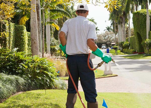 About Alcova WY Pest Control Pros